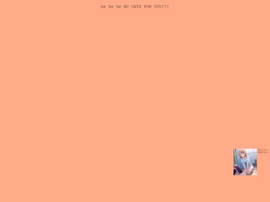 cats screenshot