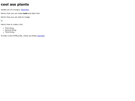 index screenshot