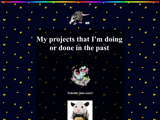projects screenshot