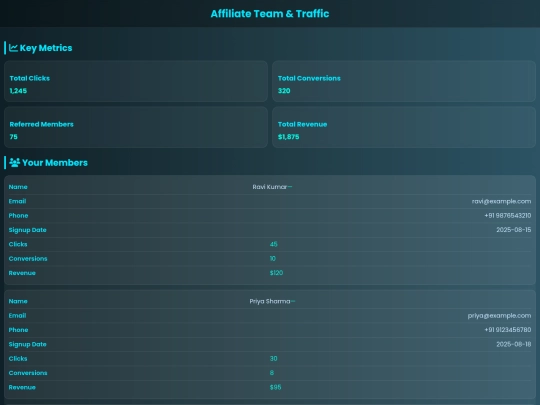traffic screenshot
