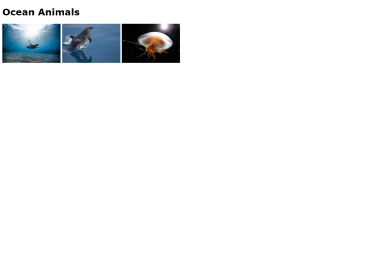 animalofocean/ocean screenshot