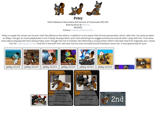 petey screenshot