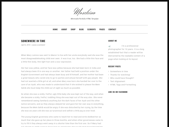 HTML-Moschino1.0.0/blog-single screenshot