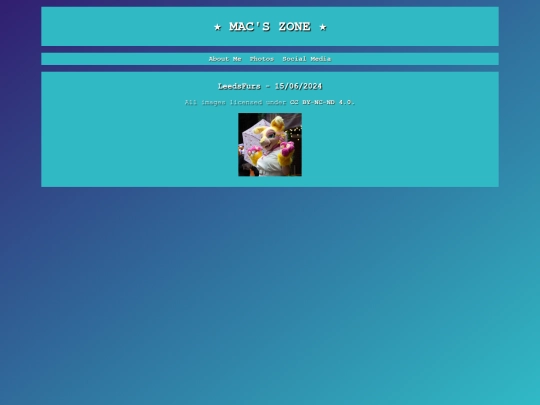 lfjun24 screenshot