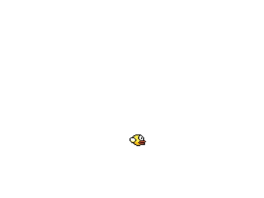 testpajaro screenshot