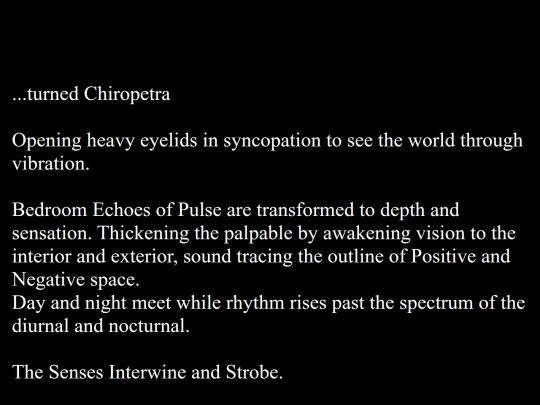 words/systems/radar screenshot