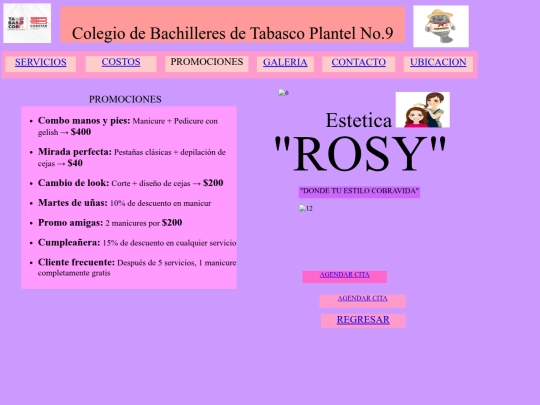 INDEX/HTML/PROMOCIONES screenshot
