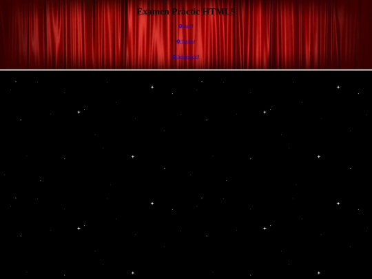 Examen_Practic/examen screenshot