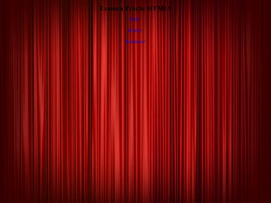Examen_Practic/ndex screenshot
