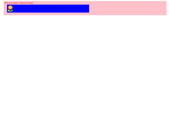 examenCSS/examen2 screenshot
