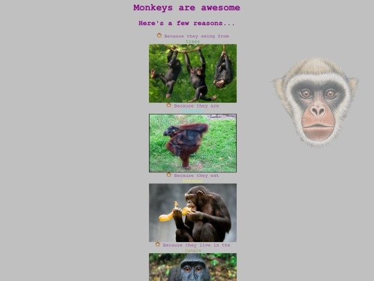 monkeySite/mik screenshot