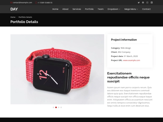 session_replay/Day/portfolio-details screenshot