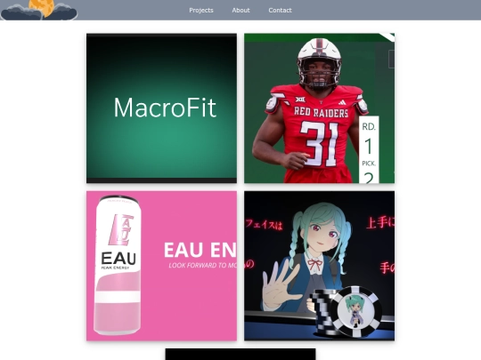 projects screenshot