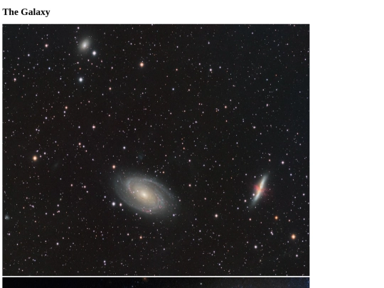 StarterGalleryAssignment screenshot