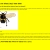 bee site home page avatar