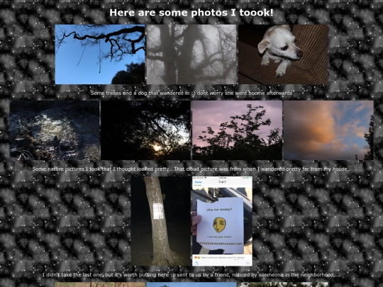 photography screenshot