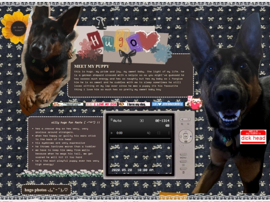 hugo screenshot
