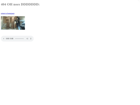 Nekoarchives/2024-06-26/not_found screenshot