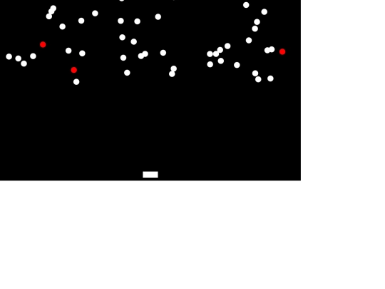 game/step 5 screenshot