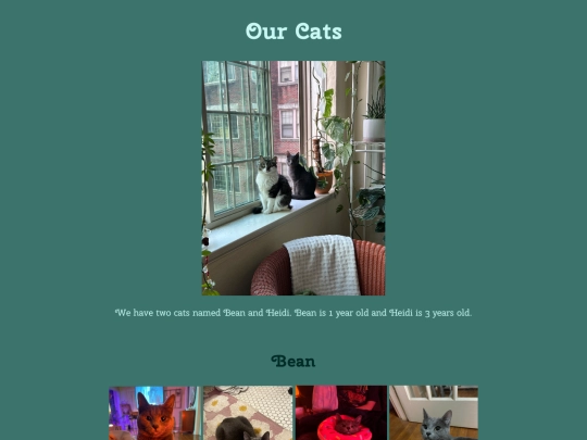 OurCats screenshot