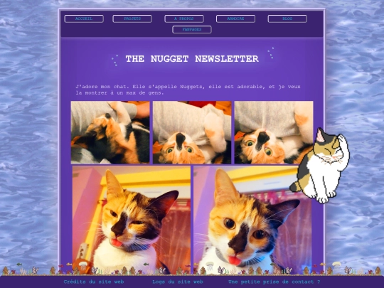 pages/thekittynewsletter screenshot