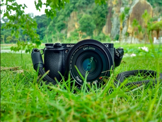 photo screenshot