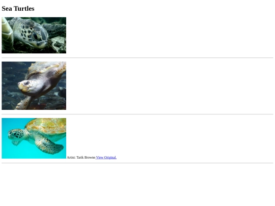 startergallery screenshot