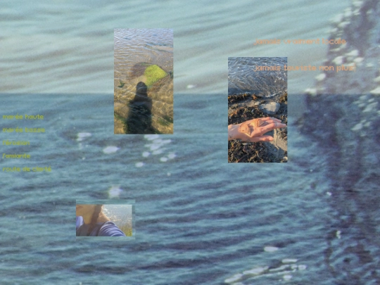 filledela132 screenshot
