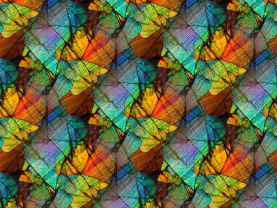 drawings screenshot