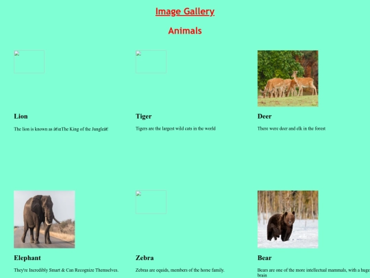 Image Gallery using flex/flexbox screenshot