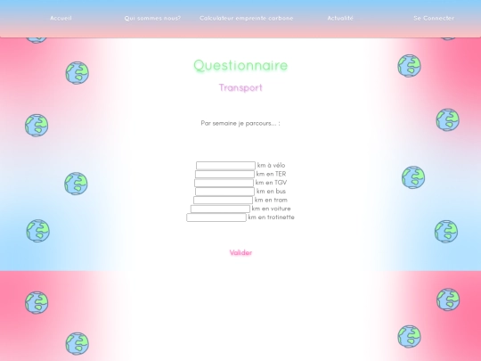 questionnaire1 screenshot
