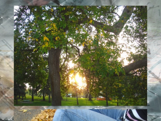 3201111 screenshot