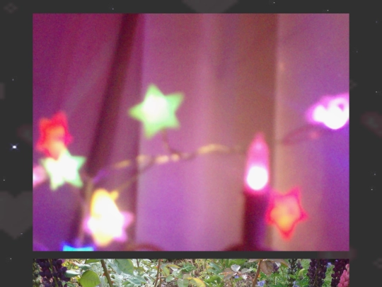7902 screenshot