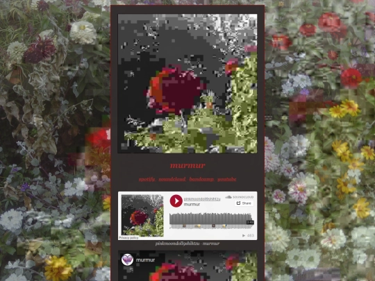 murmur screenshot