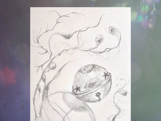 seaweed screenshot