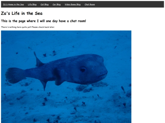 chatRoom screenshot