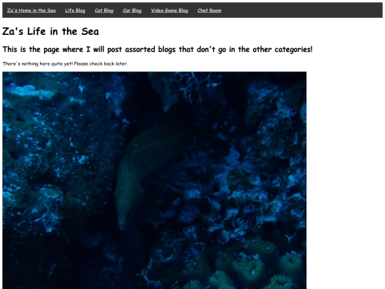 lifeBlog screenshot