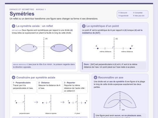 Mathematiques/Mathematiques_N1/Geometrie_Symetrie_Cours screenshot