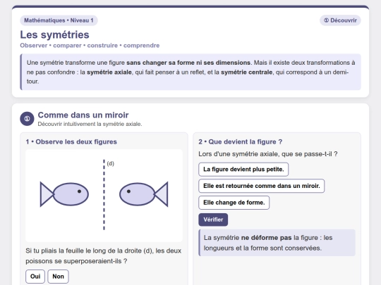 Mathematiques/Mathematiques_N1/Geometrie_Symetrie_Decouverte screenshot