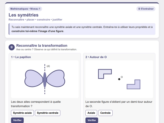 Mathematiques/Mathematiques_N1/Geometrie_Symetrie_Entrainement screenshot