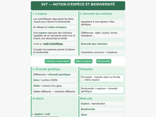 SVT/Evolution_Vivant_Espece_CM_N2 screenshot