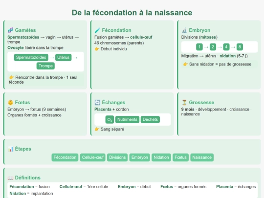 SVT/Reproduction_Fecondation_Naissance_CMN2 screenshot