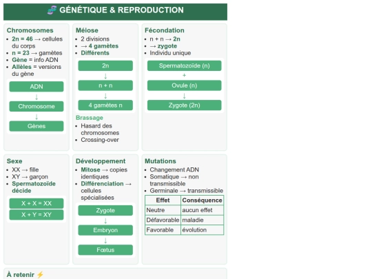SVT/Reproduction_Formation_Nouvel_Individu_CMN2 screenshot