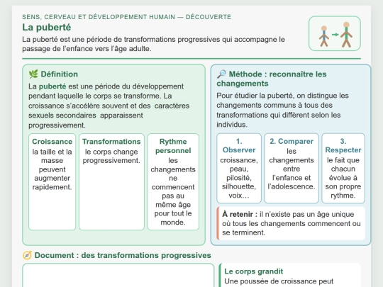 SVT/SVT_ND/Developpement_humain_Puberte_CoursND screenshot