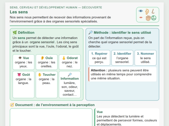 SVT/SVT_ND/Developpement_humain_Sens_et_perception_CoursND screenshot