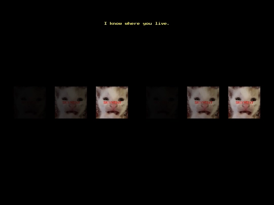 251521615211441195318520 screenshot