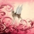 cutesyghost.neocities.org avatar