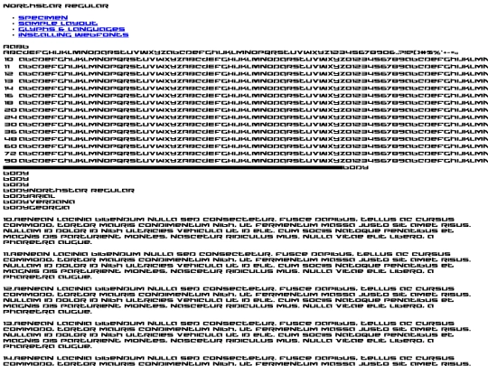 fonts/northstarregular-9ley-demo screenshot