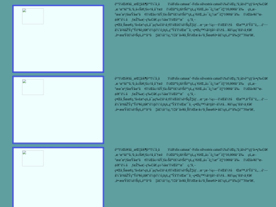 20221114/text01 screenshot