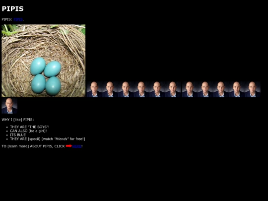 pipis screenshot